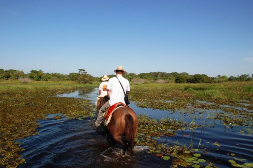 The best time to visit the Pantanal - Bonito Way